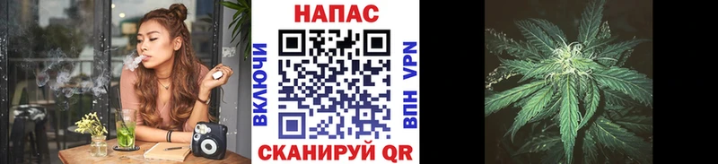 хочу наркоту  Александровское  Каннабис SATIVA & INDICA 
